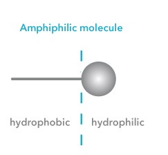 Amphiphilicmolecule