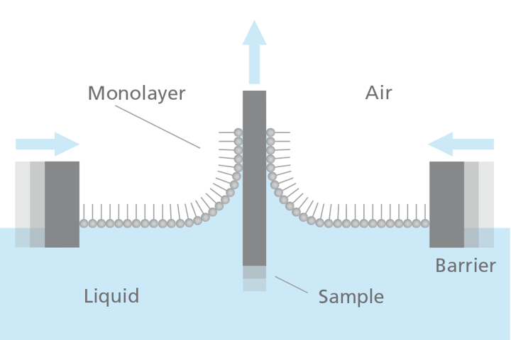 Langmuir-Blodgett-Deposition